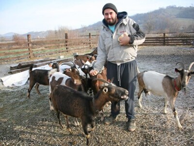 Milk Bar (OPG Mario Krog)