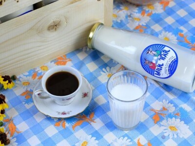 Milk Bar (OPG Mario Krog)