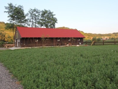 Milk Bar (OPG Mario Krog)