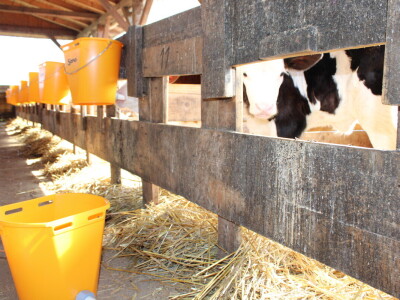 Milk taksi nove generacije stigao na PD "Semberija"