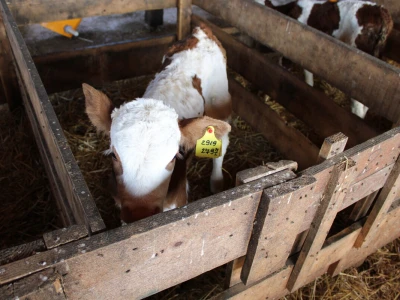 Milk taksi nove generacije stigao na PD "Semberija"
