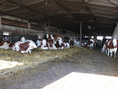 Milk taksi nove generacije stigao na PD "Semberija"