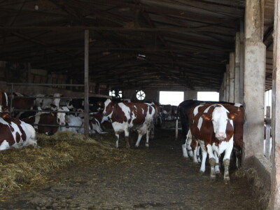 Milk taksi nove generacije stigao na PD "Semberija"