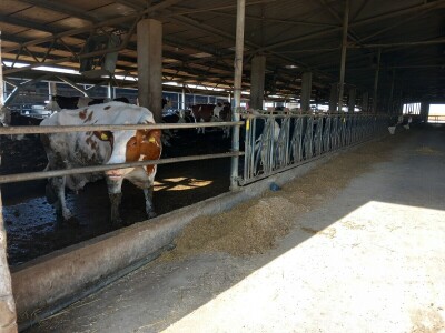 Milk taksi nove generacije stigao na PD "Semberija"