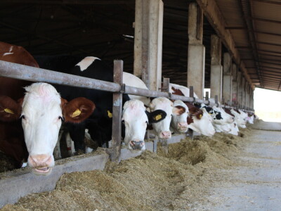 Milk taksi nove generacije stigao na PD "Semberija"