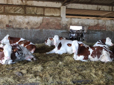 Milk taksi nove generacije stigao na PD "Semberija"