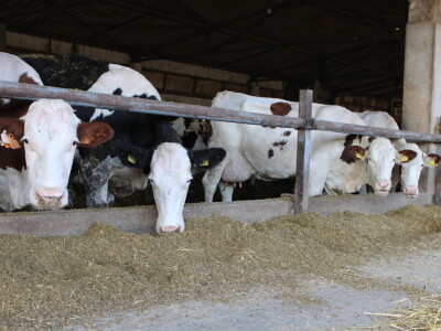 Milk taksi nove generacije stigao na PD "Semberija"