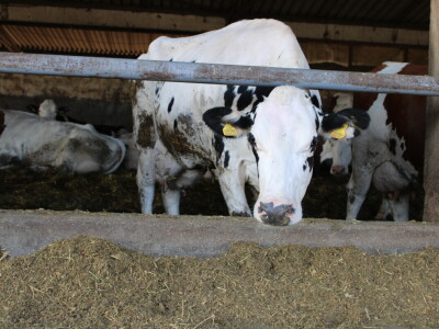 Milk taksi nove generacije stigao na PD "Semberija"