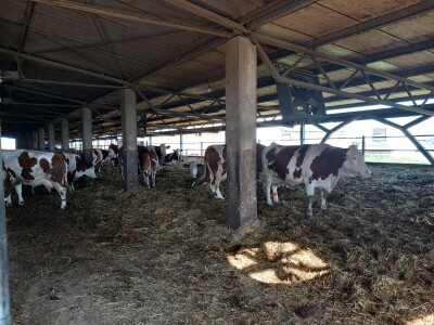 Milk taksi nove generacije stigao na PD "Semberija"