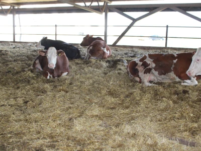 Milk taksi nove generacije stigao na PD "Semberija"