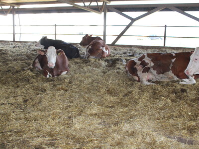 Milk taksi nove generacije stigao na PD "Semberija"