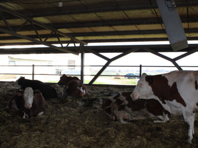 Milk taksi nove generacije stigao na PD "Semberija"