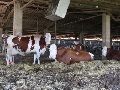 Milk taksi nove generacije stigao na PD "Semberija"