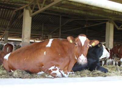 Milk taksi nove generacije stigao na PD "Semberija"