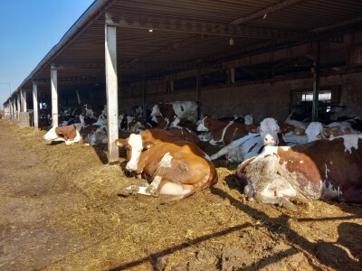 Milk taksi nove generacije stigao na PD "Semberija"