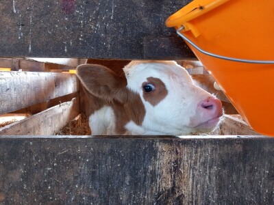 Milk taksi nove generacije stigao na PD "Semberija"