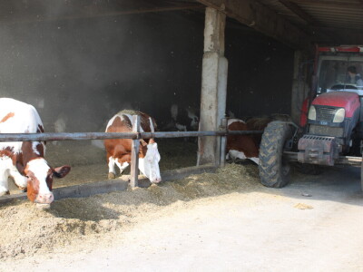 Milk taksi nove generacije stigao na PD "Semberija"