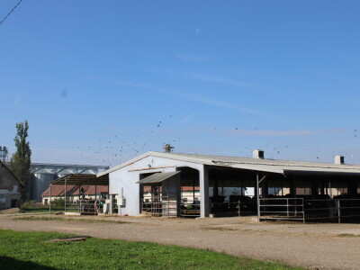 Milk taksi nove generacije stigao na PD "Semberija"