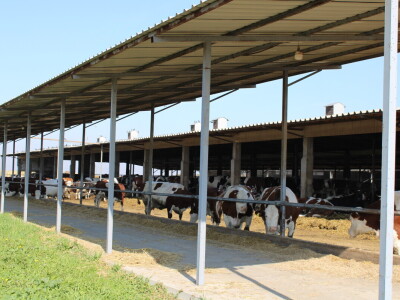 Milk taksi nove generacije stigao na PD "Semberija"