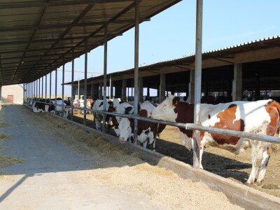 Milk taksi nove generacije stigao na PD "Semberija"