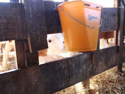 Milk taksi nove generacije stigao na PD "Semberija"