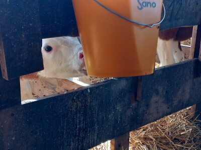 Milk taksi nove generacije stigao na PD "Semberija"