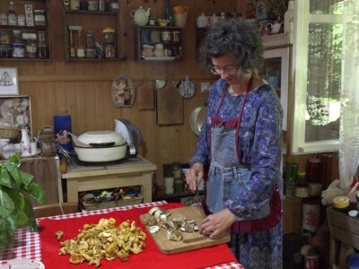 Milka Adžić o svetu otrovnih gljiva