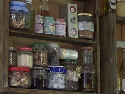 Milka Adžić o svetu otrovnih gljiva