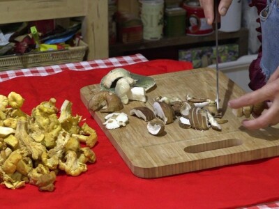 Milka Adžić o svetu otrovnih gljiva