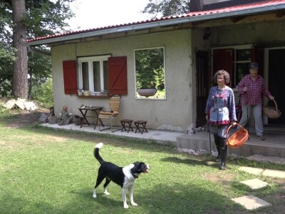 Milka Adžić o svetu otrovnih gljiva