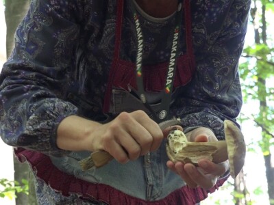 Milka Adžić o svetu otrovnih gljiva