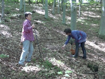 Milka Adžić o svetu otrovnih gljiva