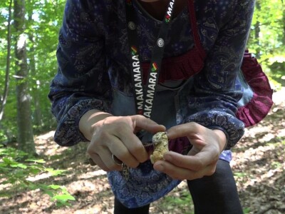 Milka Adžić o svetu otrovnih gljiva