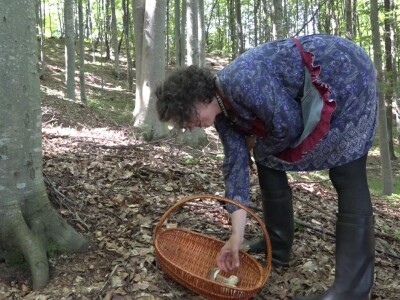 Milka Adžić o svetu otrovnih gljiva