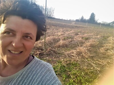 Milka i Boris su na Krk doselili obitelj crnih slavonskih svinja Milka i Boris su na Krk doselili obitelj crnih slavonskih svinja
