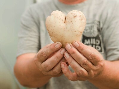 Milo Selo od male farme podno Ozrena postalo turistička destinacija Milo Selo od male farme podno Ozrena postalo turistička destinacija