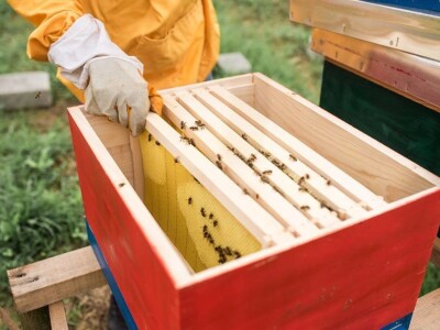 Milo Selo od male farme podno Ozrena postalo turistička destinacija Milo Selo od male farme podno Ozrena postalo turistička destinacija