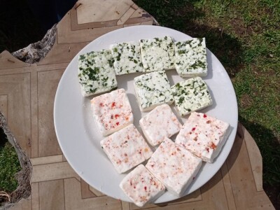 Milomir Stanojčić, kozar iz Bioske