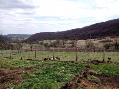 Milomir Stanojčić, kozar iz Bioske