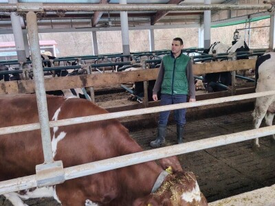 Milorad Arsenić prodao 23 grla s farme