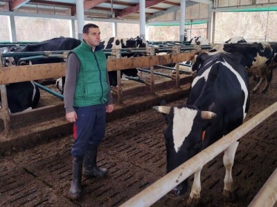 Milorad Arsenić prodao 23 krave sa svoje farme