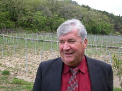 Nikša Mimica i njegov mladi vinograd u dalmatinskom kršu