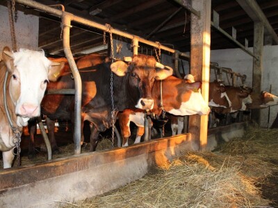 Mini sirana Kusanovac