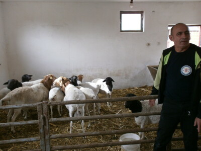 Mini Zoo vrt u Starom Laništu