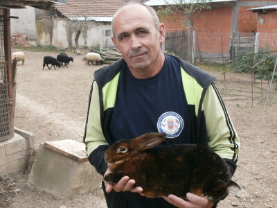 Mini Zoo vrt u Starom Laništu