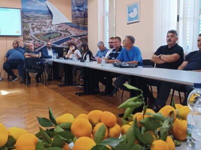 Ministar Dabro u berbi mandarina