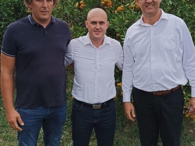 Ministar Dabro u berbi mandarina