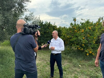 Ministar Dabro u berbi mandarina