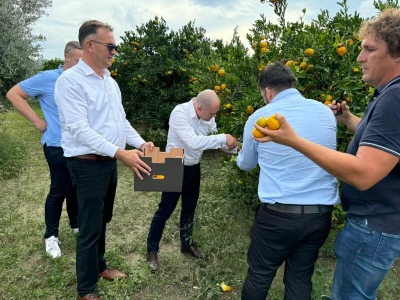 Ministar Dabro u berbi mandarina