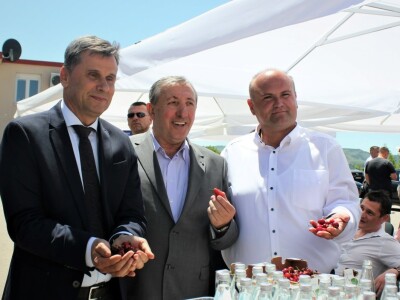 Ministar Dedić otvorio Dan mediteranskog voća